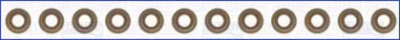 WILMINK GROUP wg1169865 -